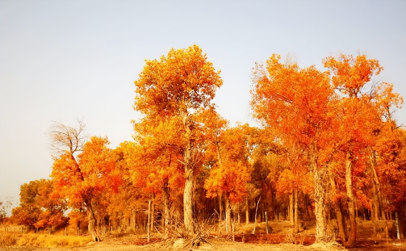 环游新疆15天,环游南疆8天攻略