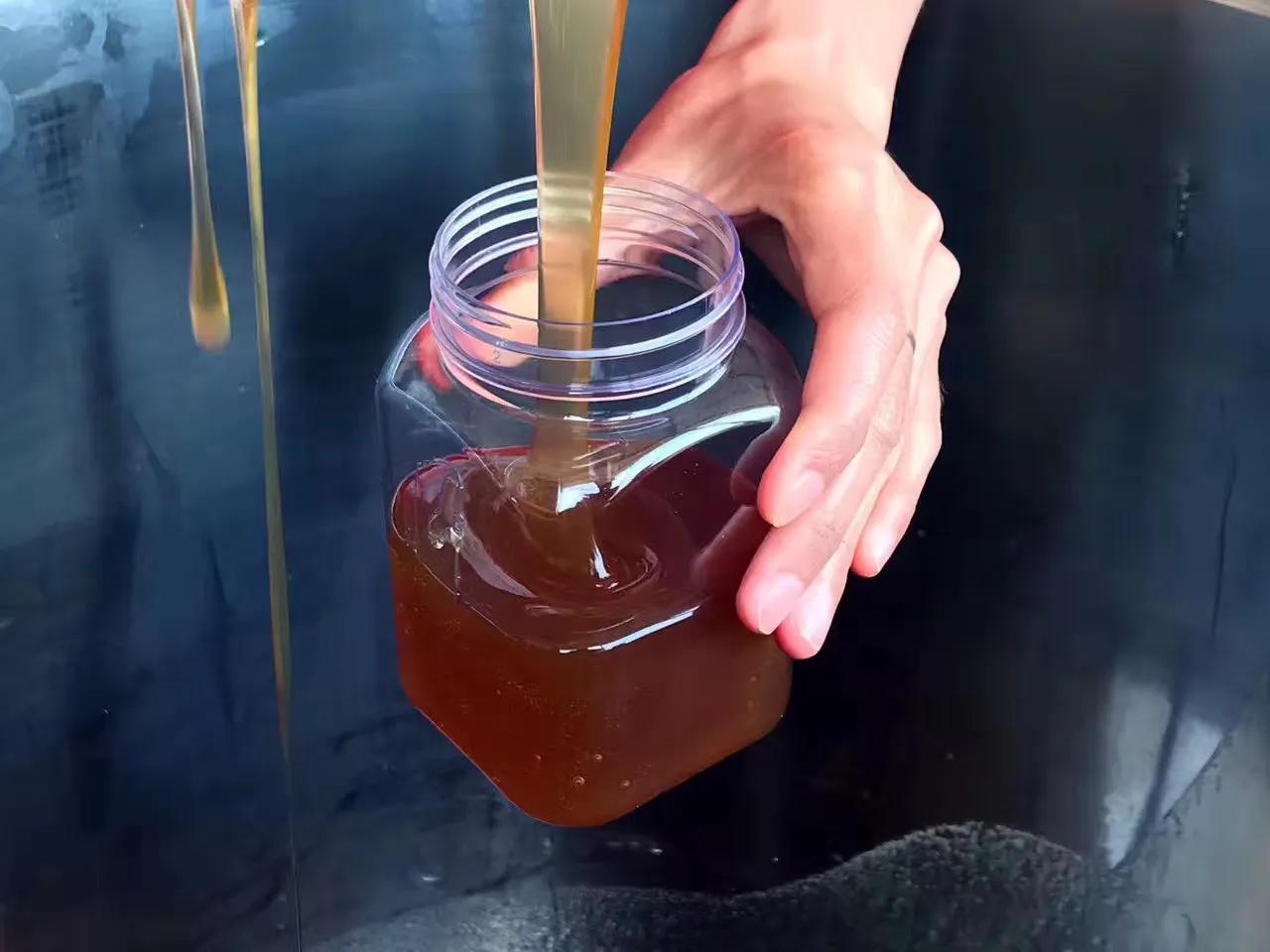 春季割野生蜂蜜最佳时期,在哪个季节采摘野生蜂蜜更合适