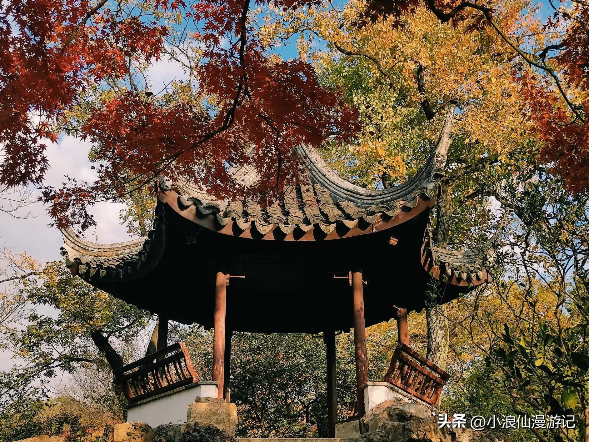 苏州天平山赏枫品茶的句子,苏州赏枫除了天平山还有哪