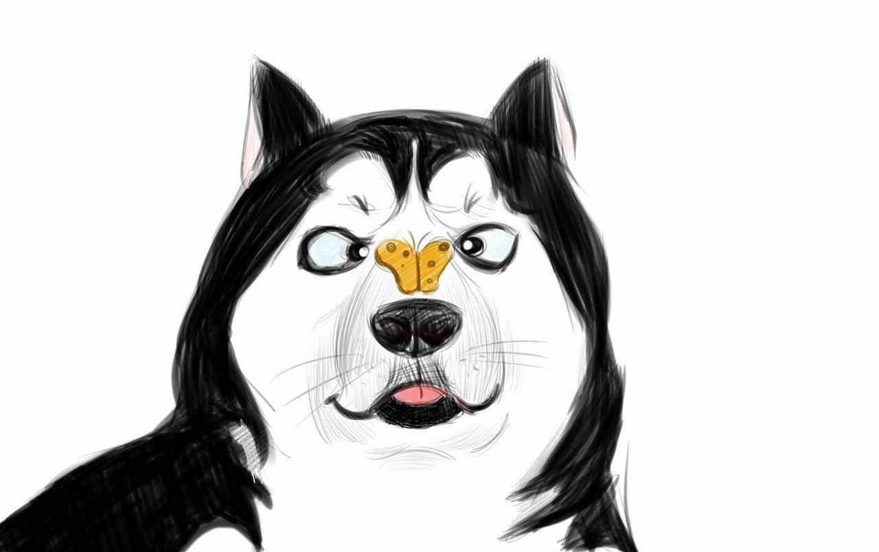 vue开发微信公众号源码,vue微信公众号网页授权完整代码