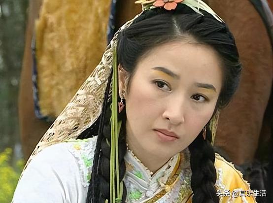 何家劲版中华英雄1-42集电视剧,何家劲版中华英雄续集