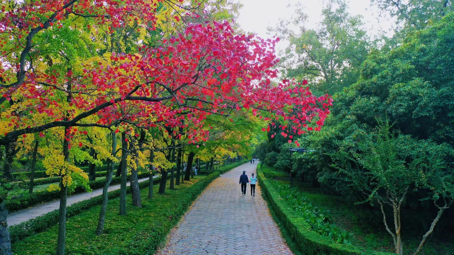 真正的朋友值得一生珍藏,属龙女一生有没有真正朋友