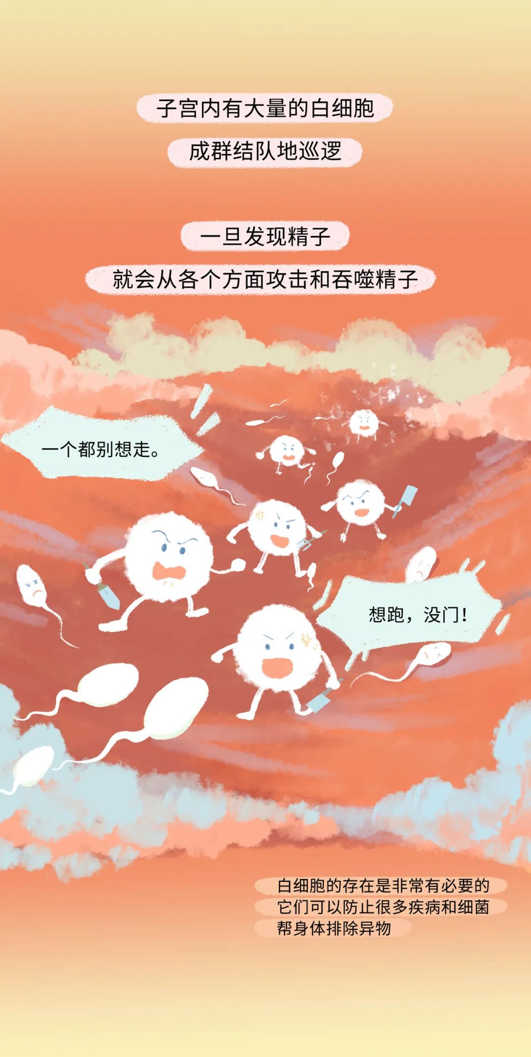 精子进入女生体内的全过程曝光！不要再傻傻不清楚