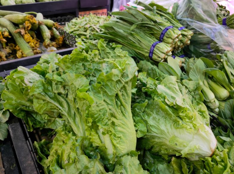 郑州蔬菜价格最新行情,河南蔬菜市场今日价格