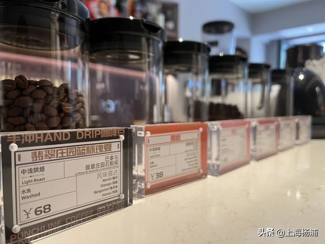 初夏时节，杨浦的小巷深处飘来咖啡香……
