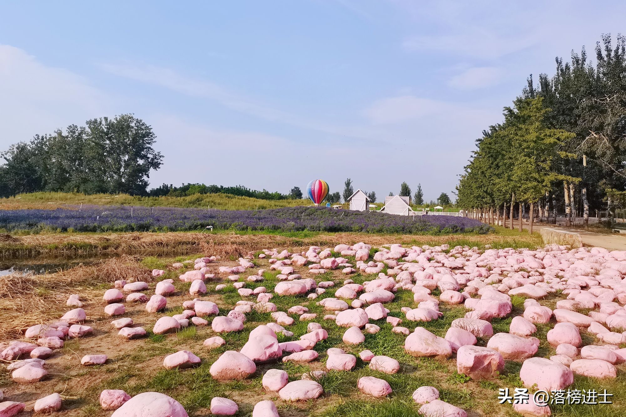 石家庄森林河趣主题公园五一,石家庄森林河主题公园攻略