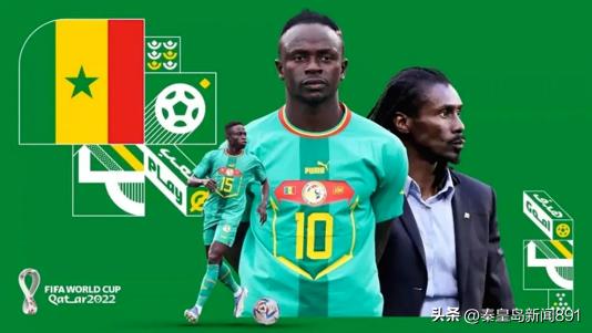 「伯男说体育」雄狮怒吼，小国大出——塞内加尔的足球传奇