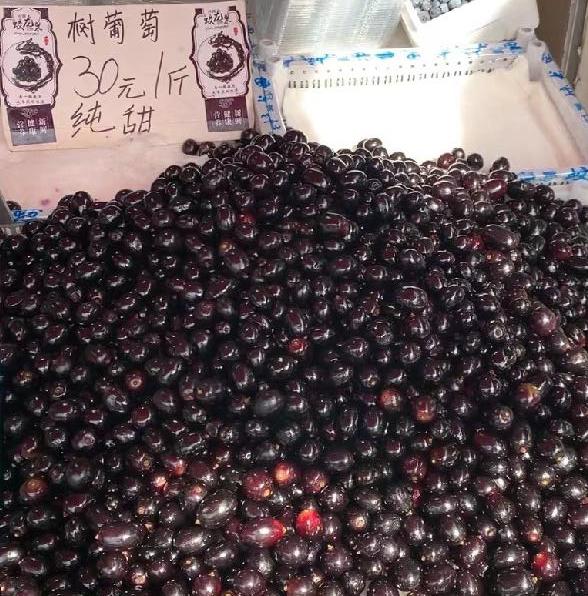 葡萄假冒嘉宝果,嘉宝果有没有明显的葡萄味