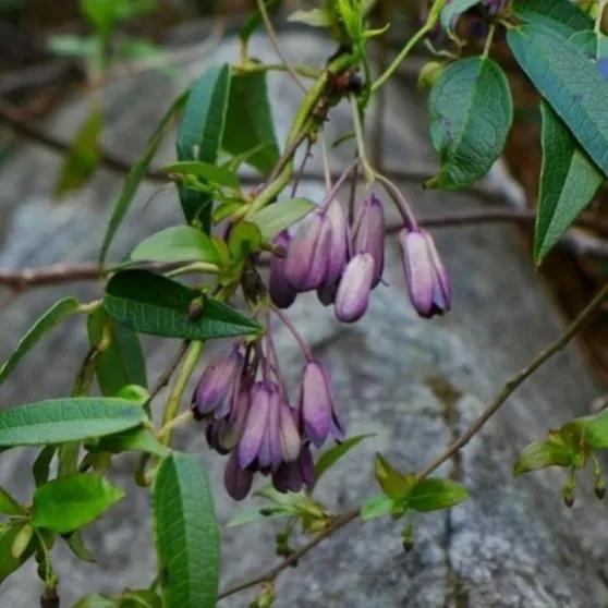 100种迷人的“数字花”,从零到一百万,真是太神奇了