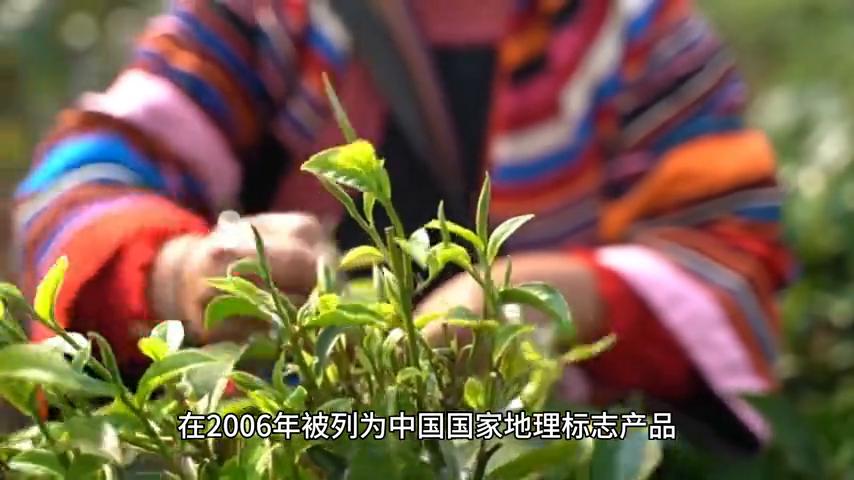 日照蓝莓产地在哪里,日照蓝莓之乡图片