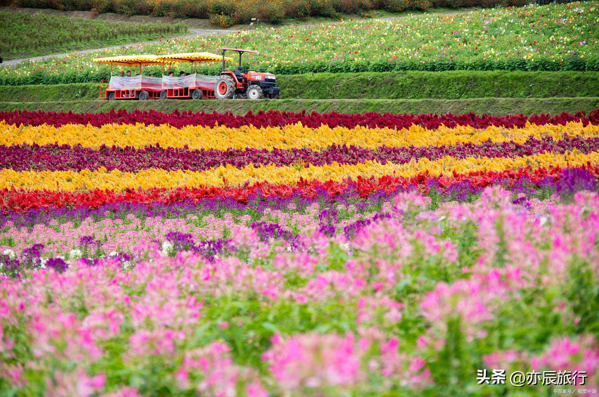 镇江旅游必去十大景点,镇江旅游必去的景点推荐