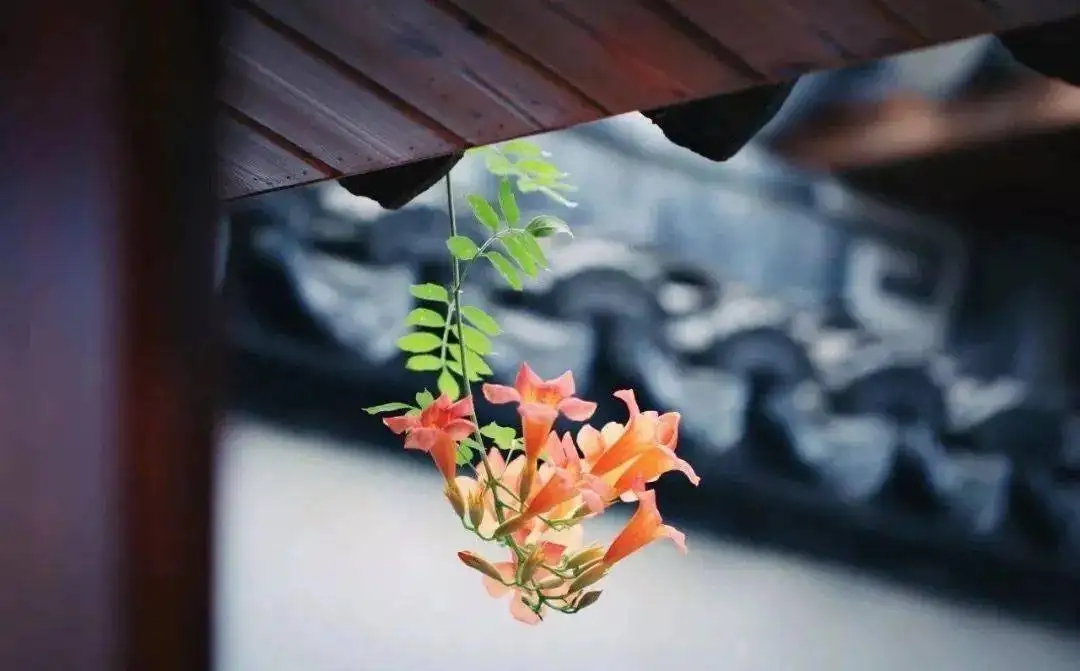 聪明但是用错了地方,别把聪明太当回事