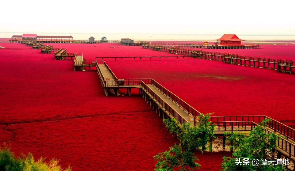 广东有直达火车吗,广东有高铁直达三江吗