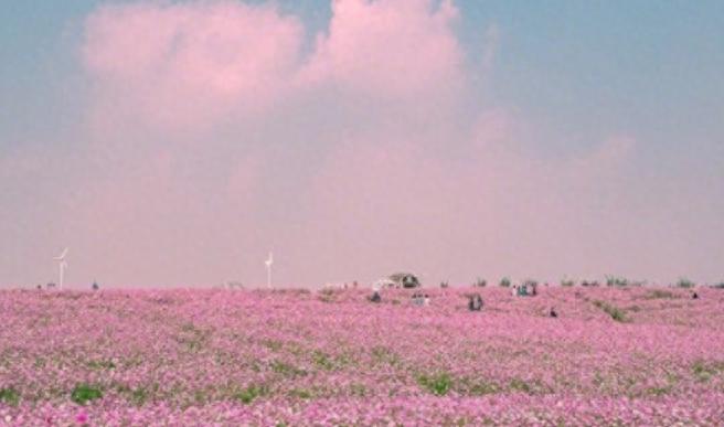 儿子意外离世婆媳赔偿金分配,儿子死亡补偿金全被儿媳拿走