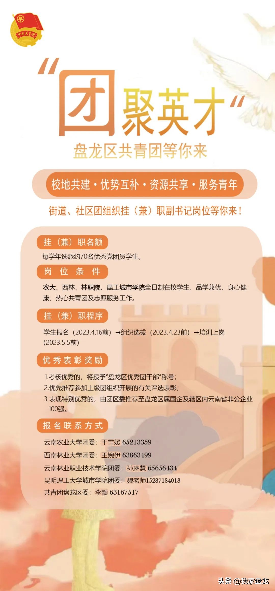 “团聚英才”盘龙共青团邀您挂(兼)职!