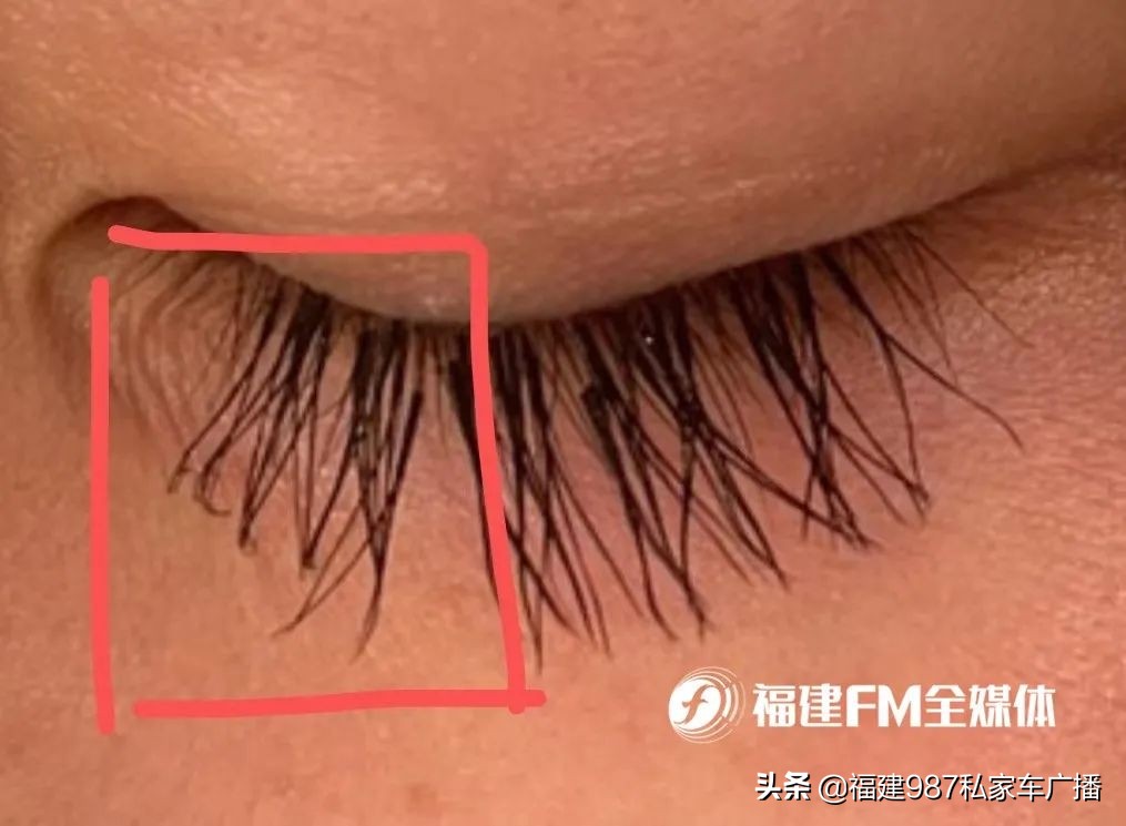 叶女士事件最终结果是什么,叶女士事件后续处理结果