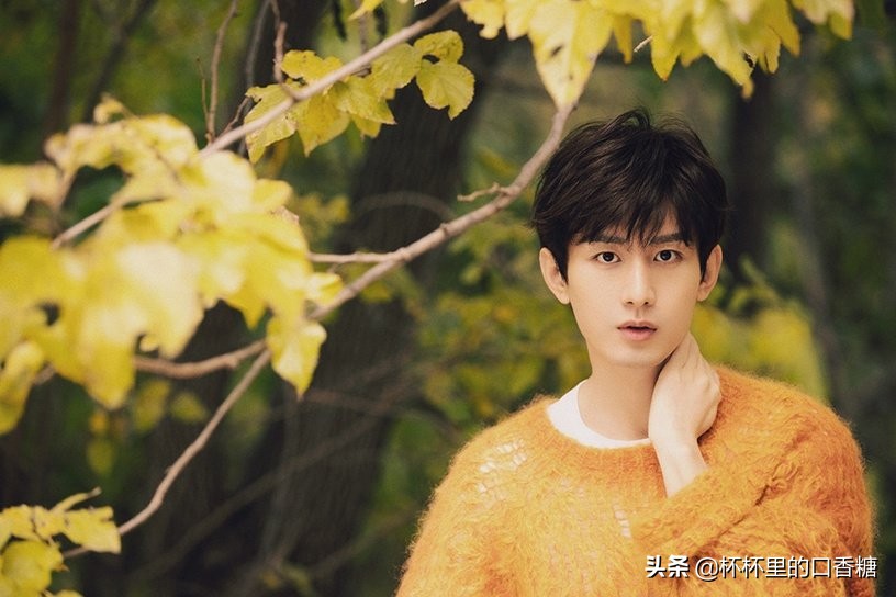 2022角色热度排行罗云熙,2023年男明星热度罗云熙