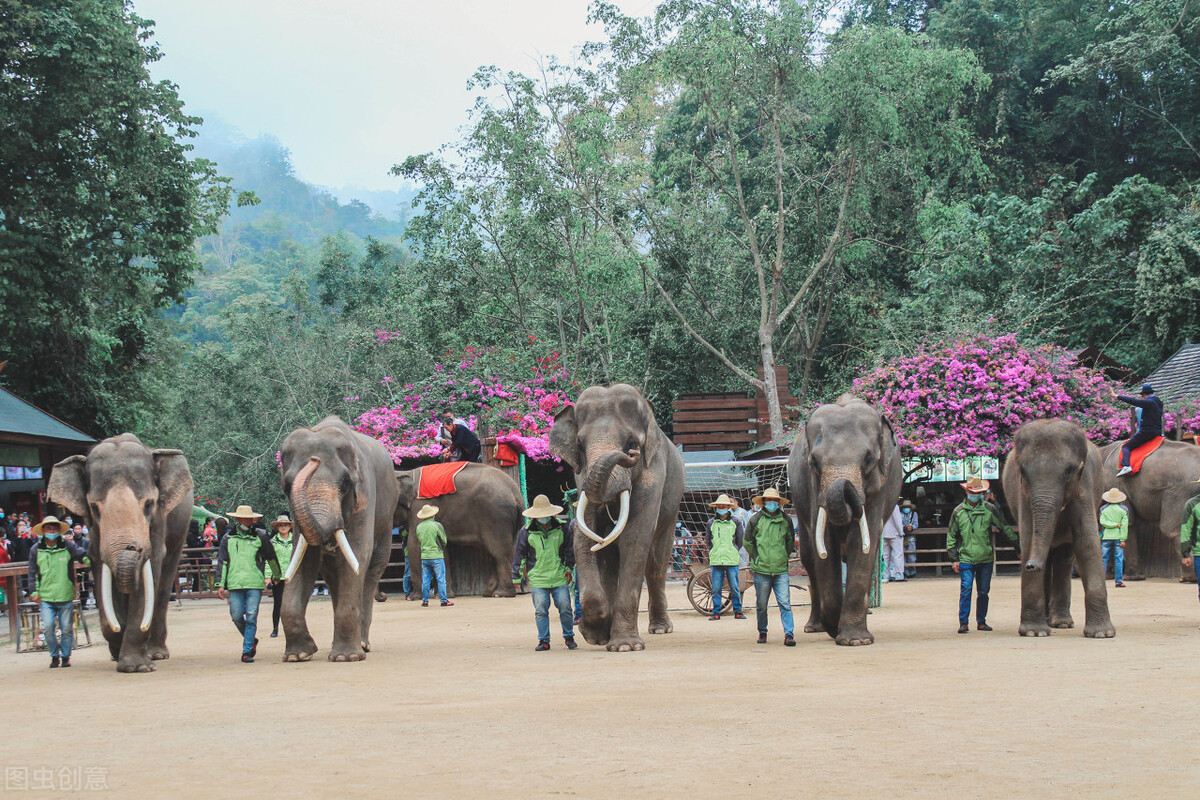 西双版纳值得旅游的地方,高品质西双版纳旅游