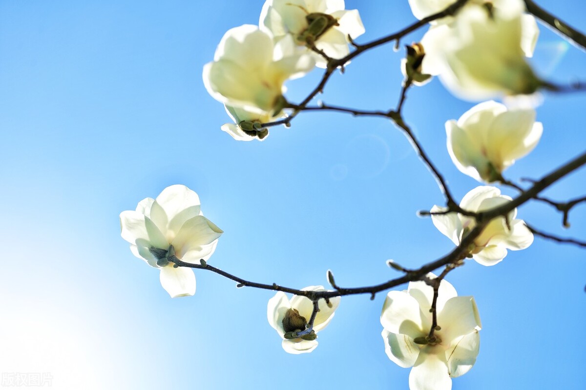 人这辈子最大的悲哀，不是没钱，而是老了以后被子女这么对待