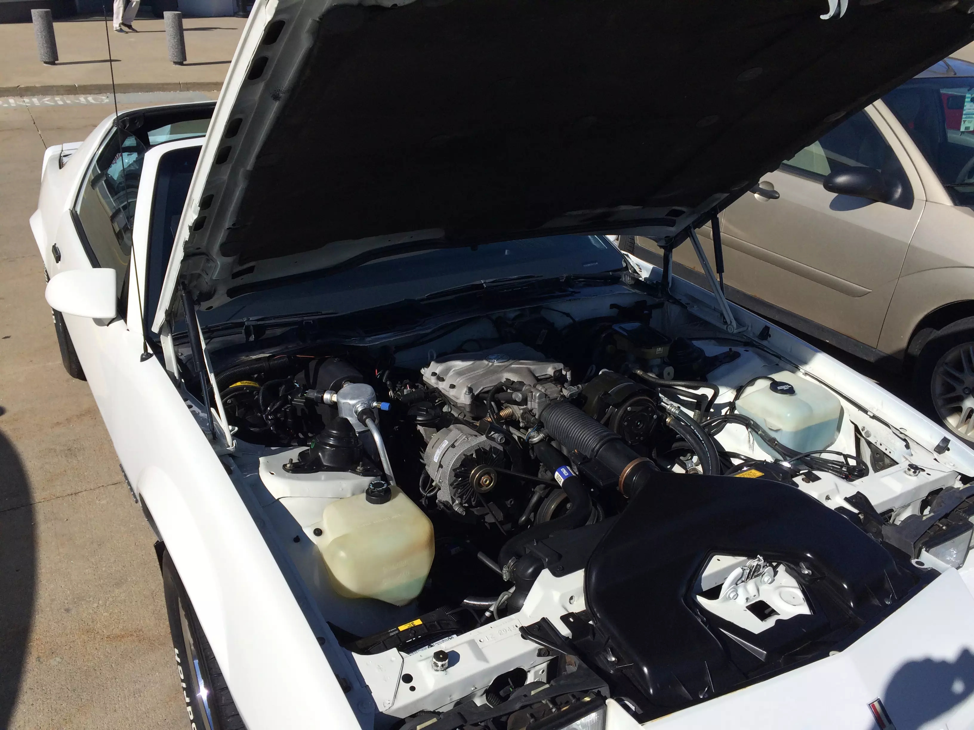 变形金刚大黄蜂推荐买哪一款,大黄蜂变形金刚推荐买哪一款