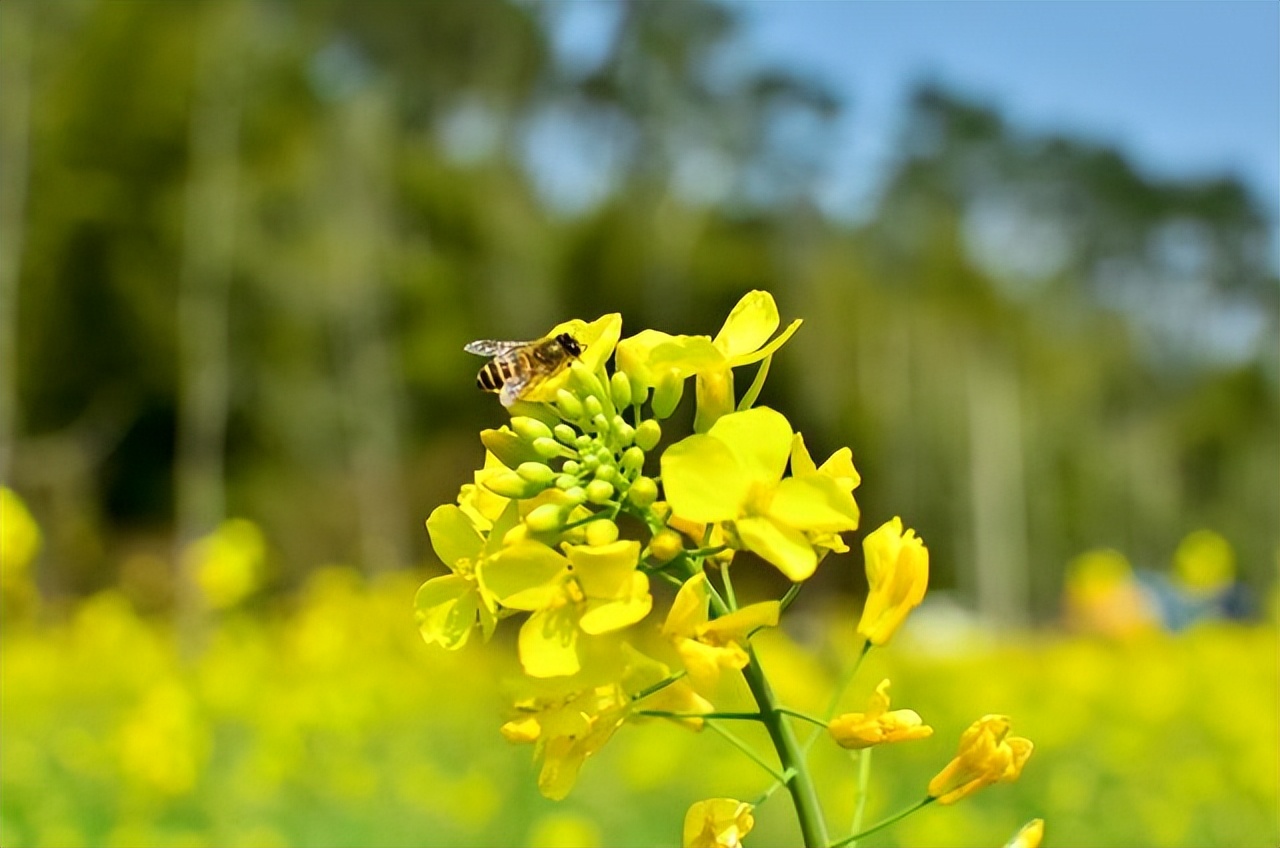 女人要想幸福必须记住这四点,女人要想幸福一定要做到这3点