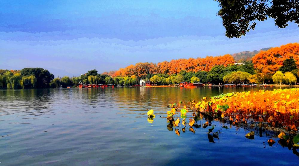 西湖的秋景诗句,西湖的秋天是美丽的