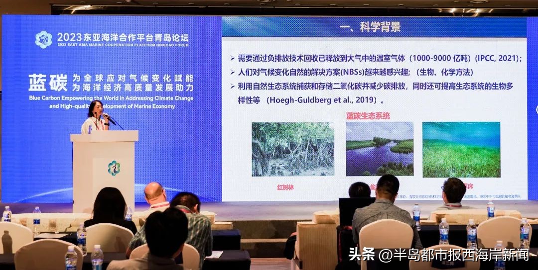 高大上！这些高端论坛汇聚西海岸→