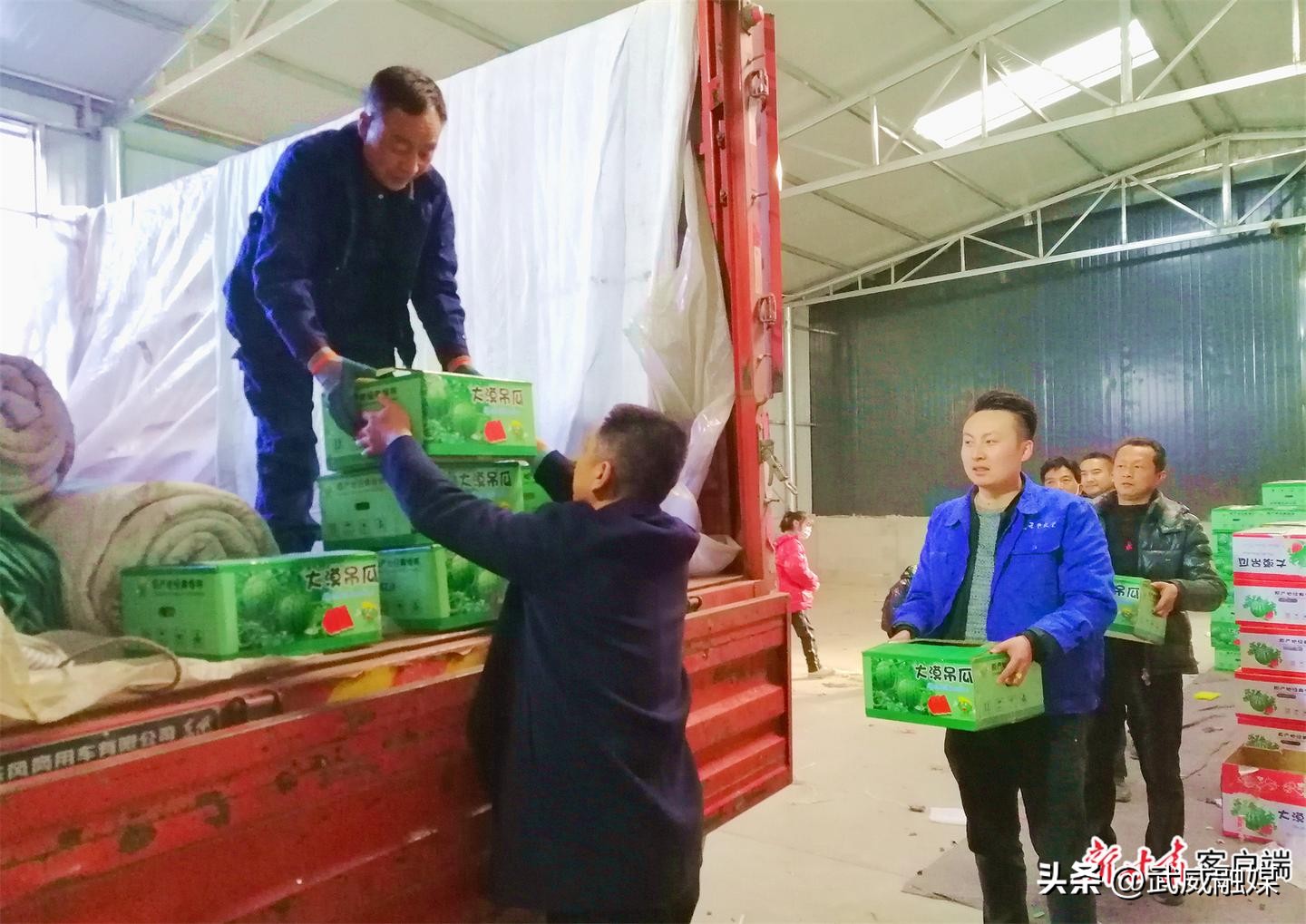 西瓜种植助力农民们增收致富,种植西瓜带动脱贫致富