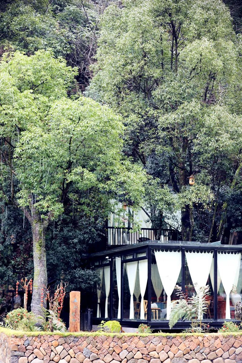 遂昌吃喝玩乐的地方,遂昌千佛山旅游度假