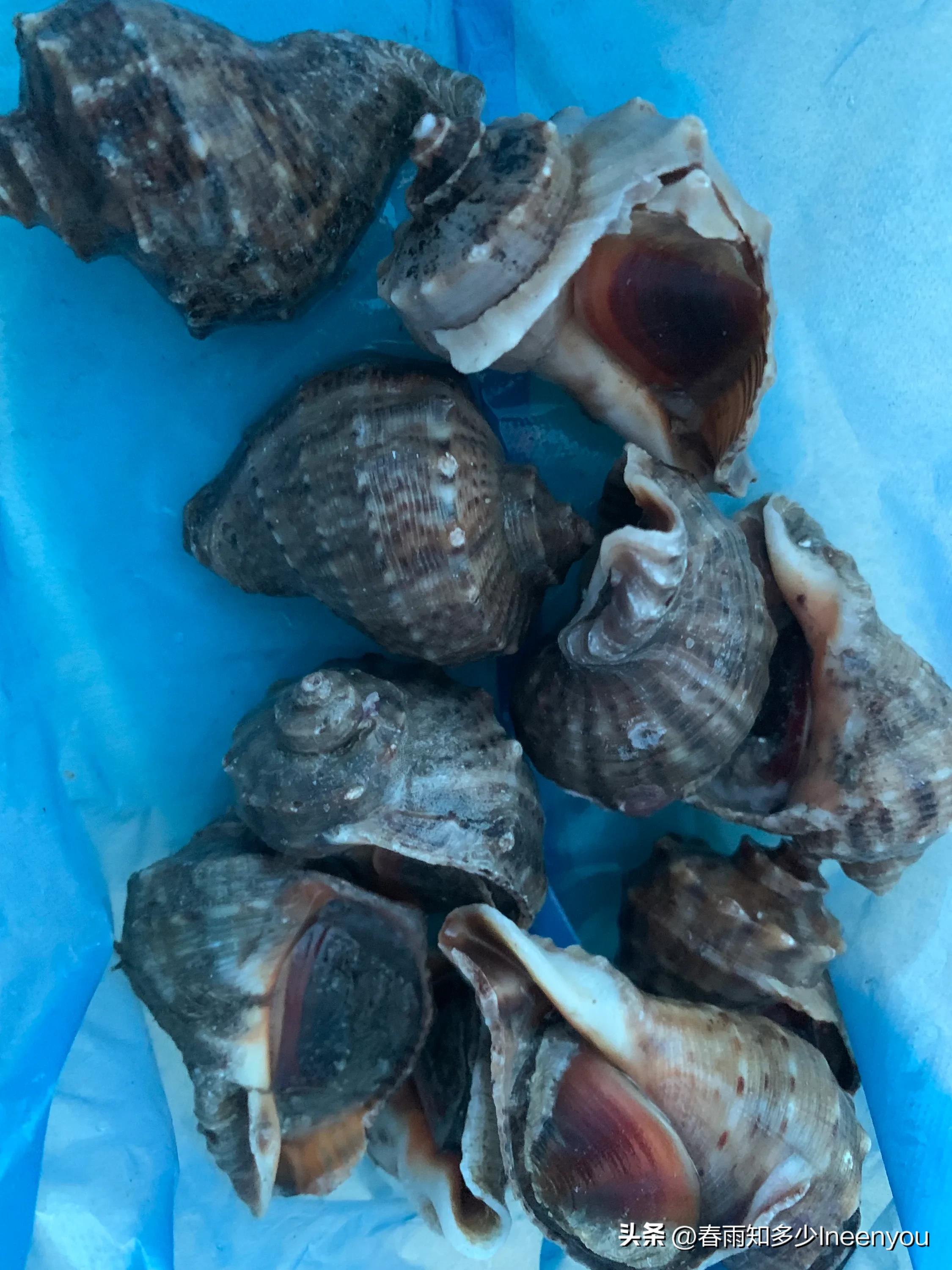 生活本就是不停的奔波,元旦将至忙忙碌碌