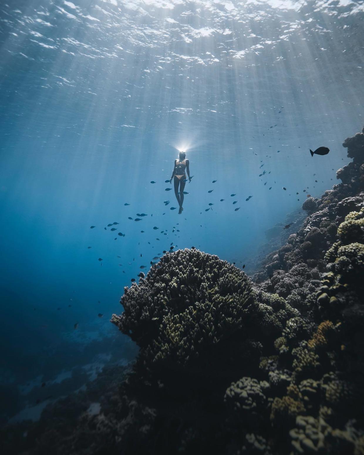 国外美女姐姐海里偶遇一只小鱼，竟引发神奇友谊！网友：前世情人