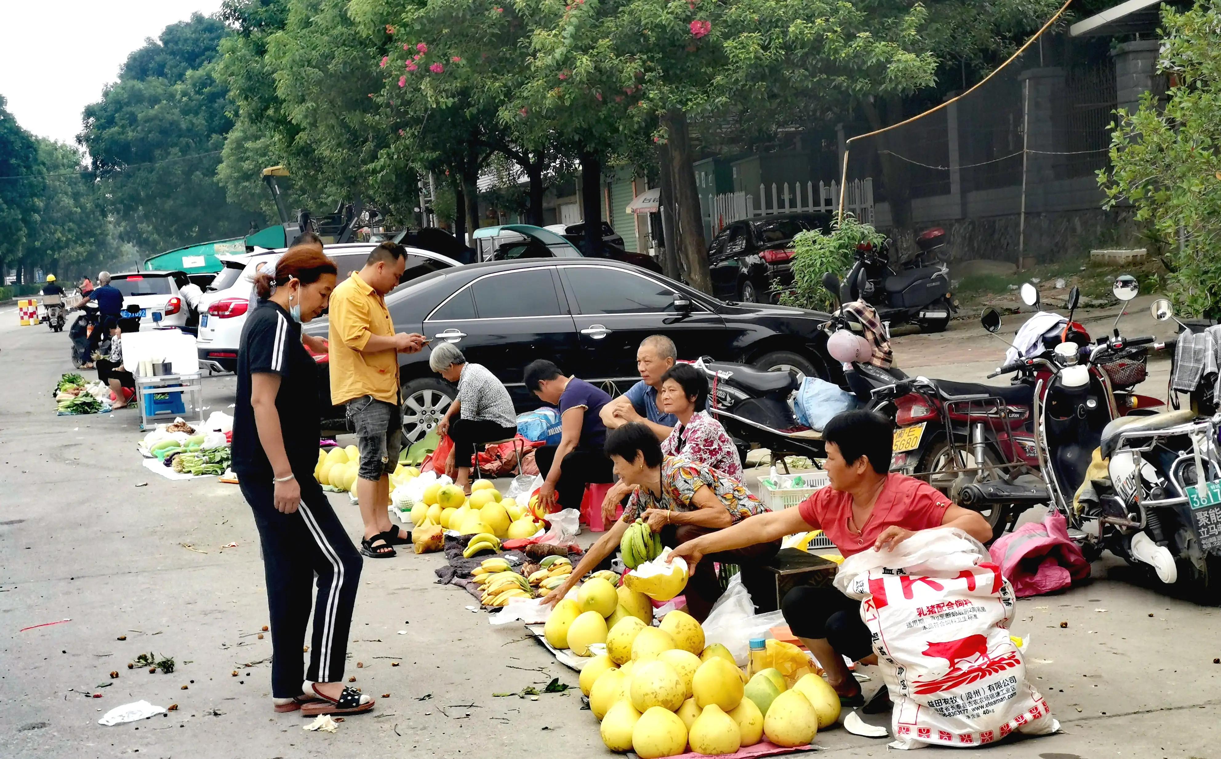 漳州市美丽的小镇,漳州长泰区旅游