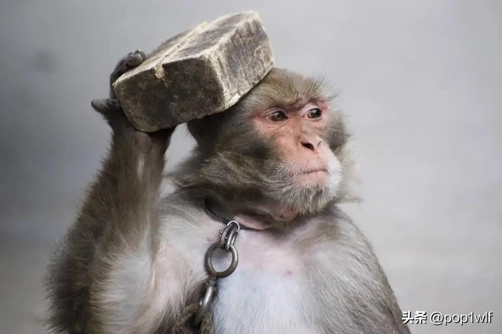 盗墓剧昆仑神宫,盗墓系列电视剧推荐昆仑神宫