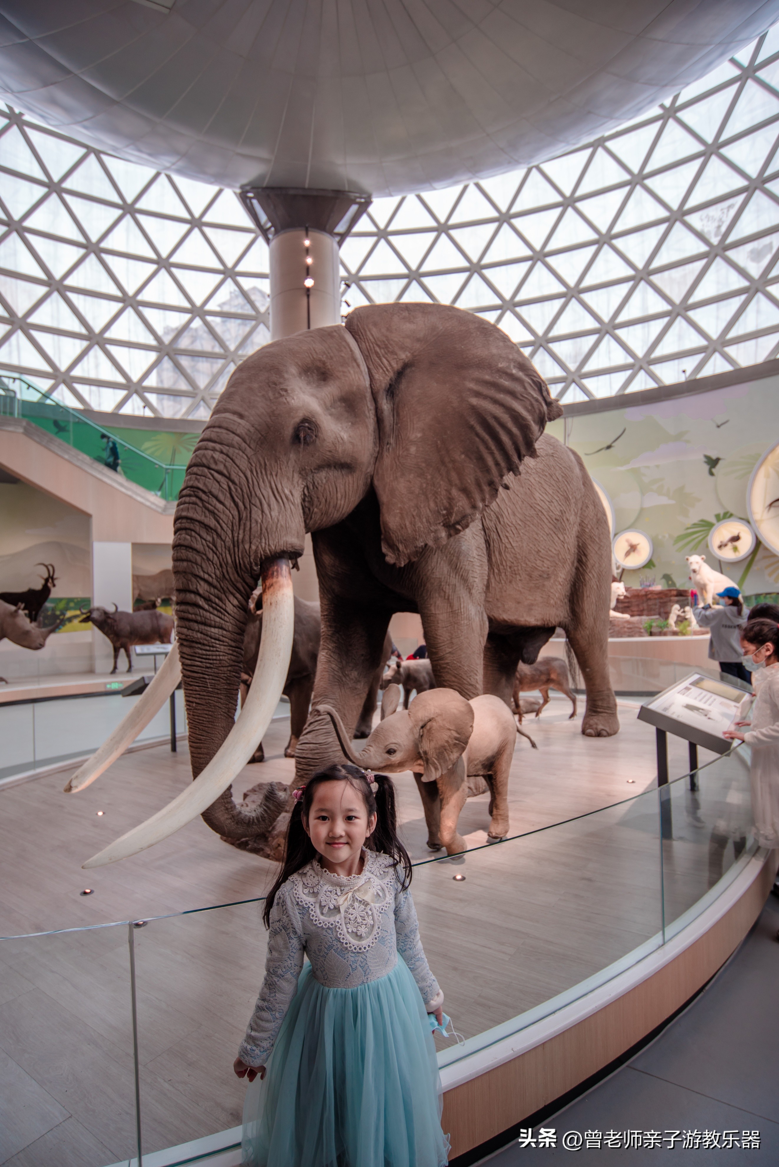 西安出发自驾亲子游,西安亲子游十大排名