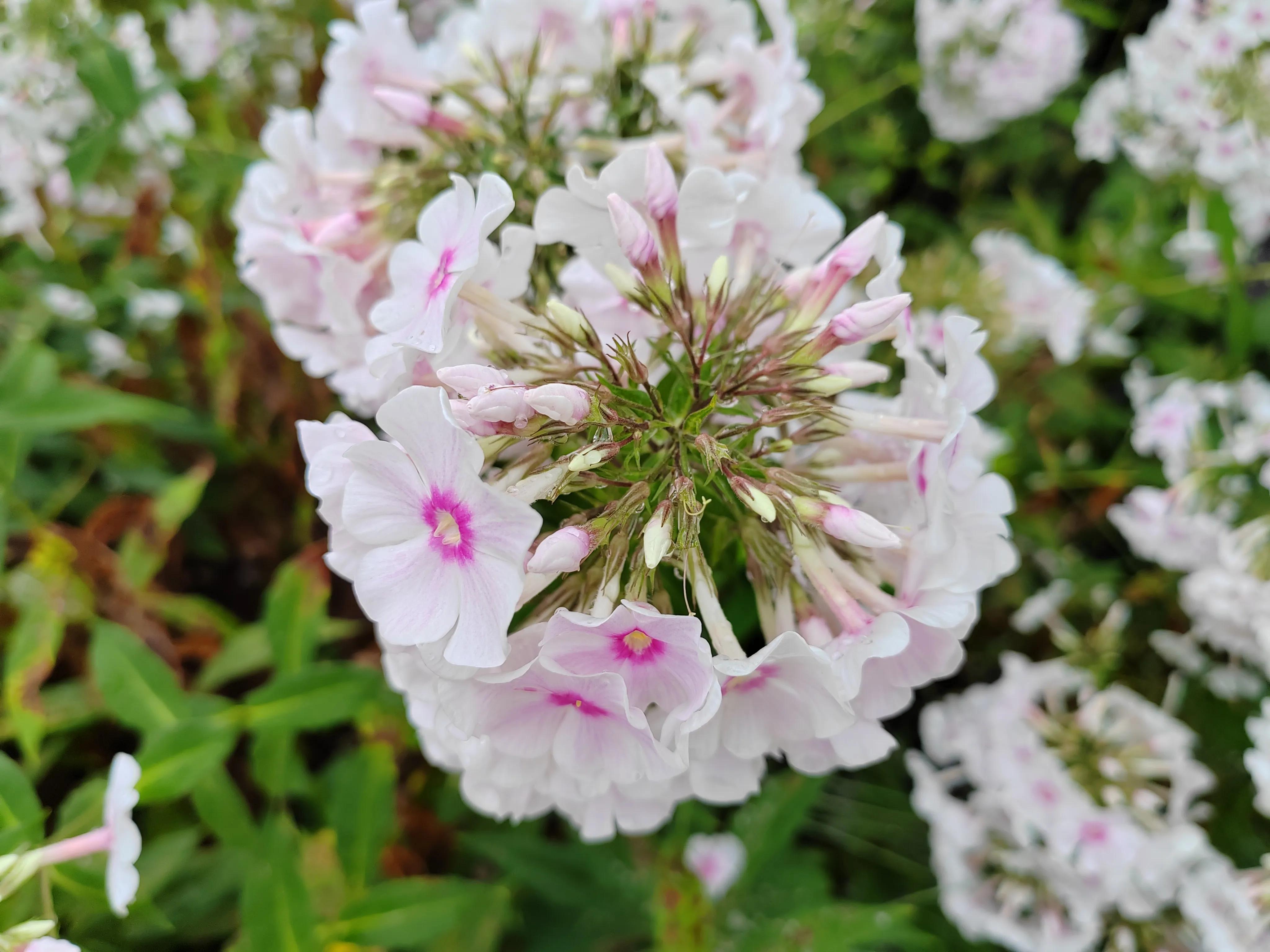 与春城昆明的再次邂逅，让这个盛夏有一抹清凉