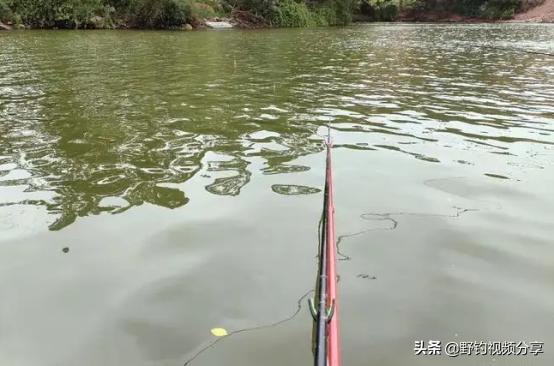 夏季野钓，雨天就是“爆护天”！但有“3不钓”，否则空军已注定