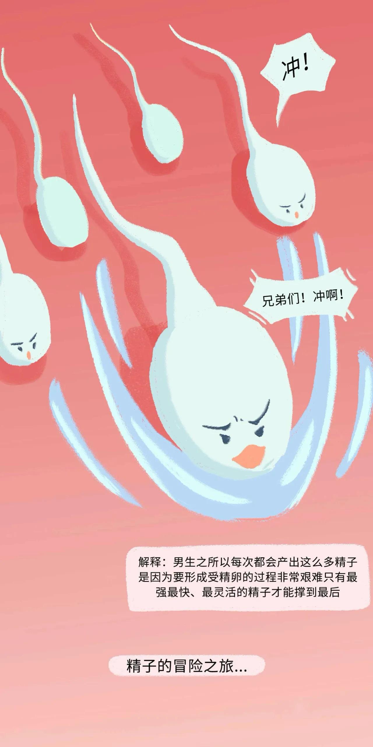 精子进入女生体内的全过程