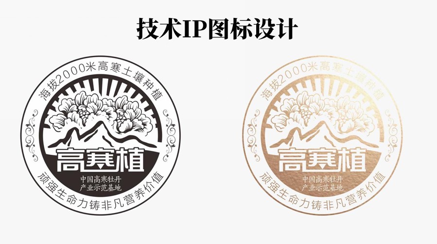 高档食用油营销策划书,食用油营销策略案例