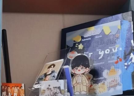 脱离饭圈后，站姐、“私生”与数据女工去哪儿了？