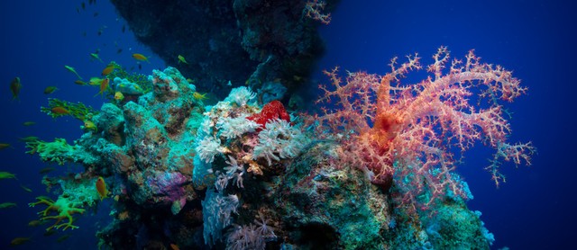 塔希提岛度假,塔希提岛风景