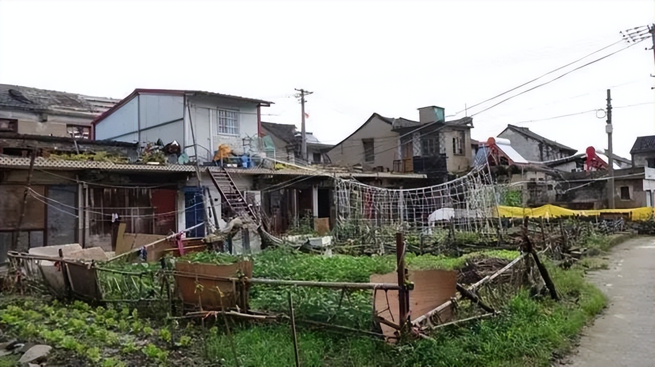 浙江嘉兴王江泾南汇中学,嘉兴市秀洲区南汇中学