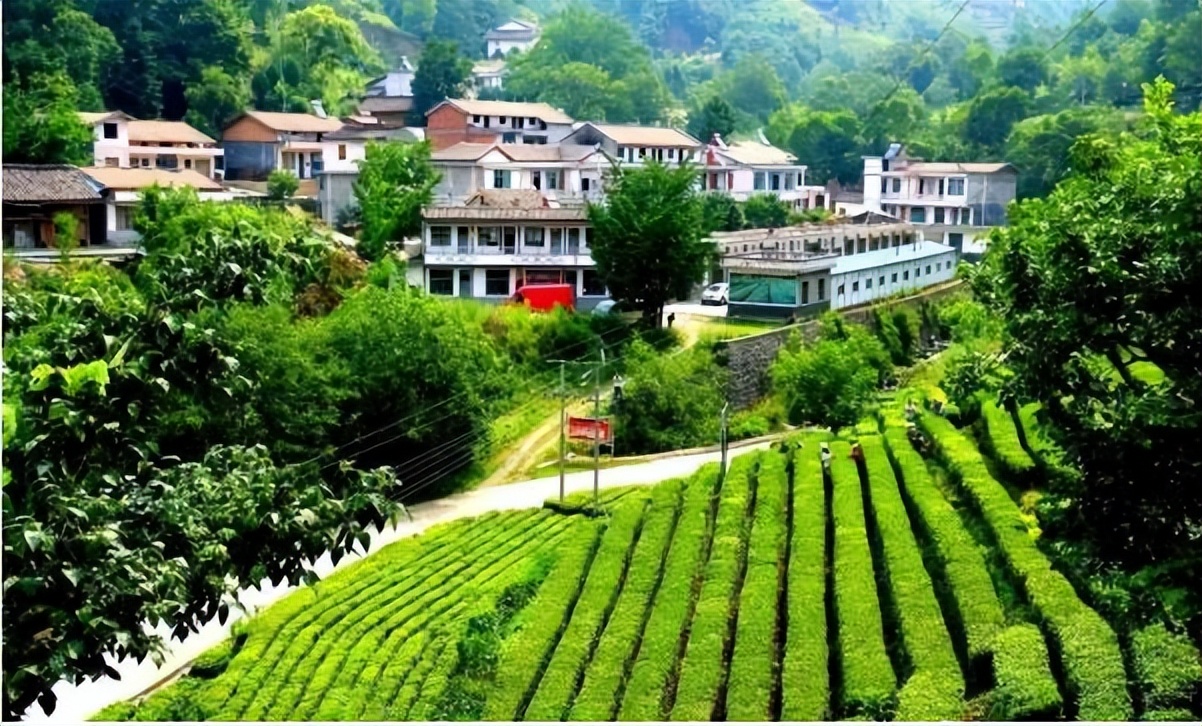 氧居田园山水一个值得你去体验的康县