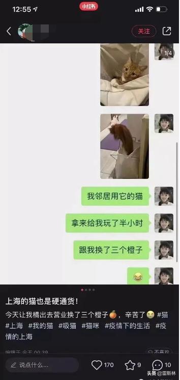 上海以物易物硬通货,上海以物易物段子