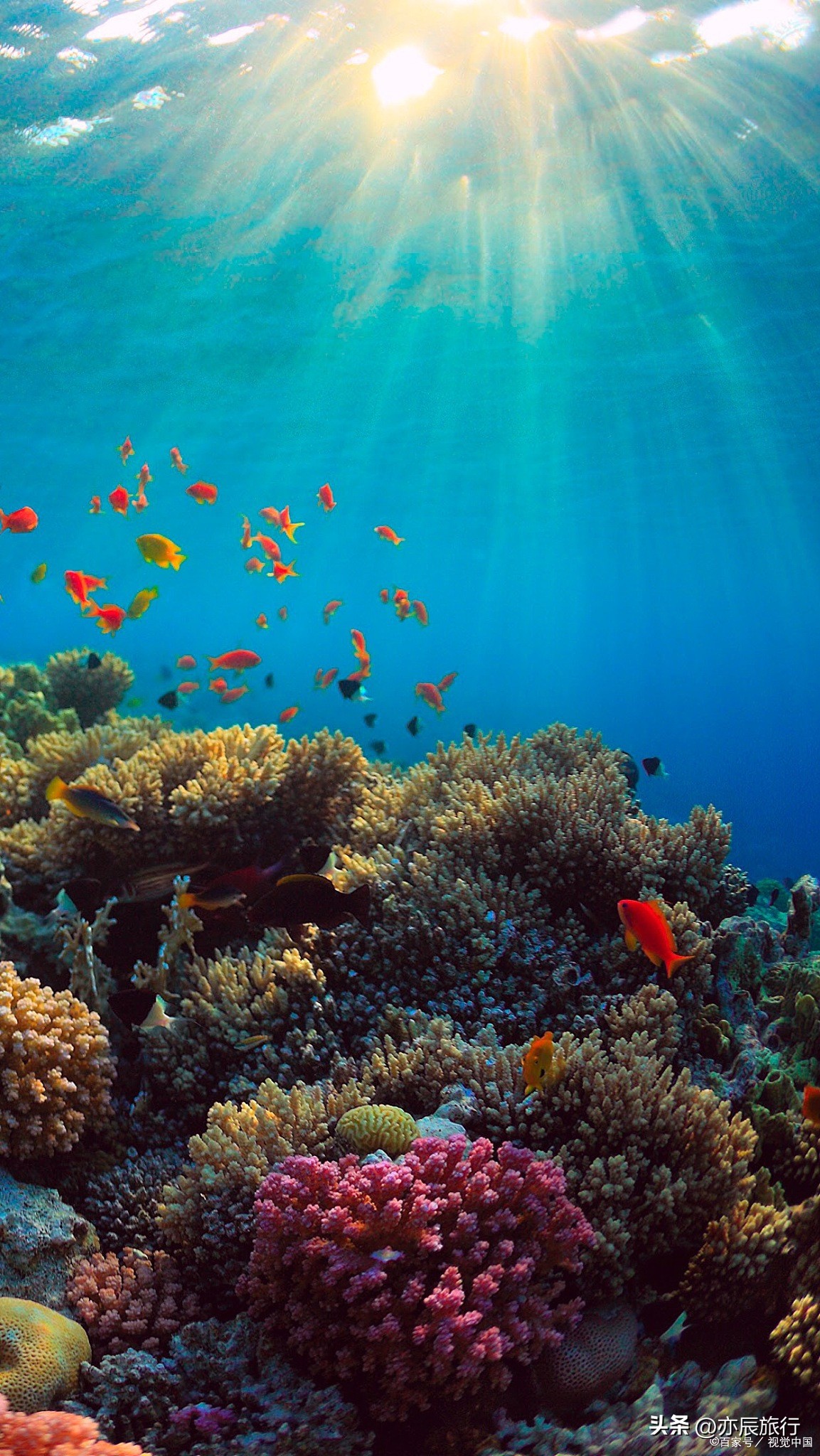 海南冬天旅游十大必去景点,海南旅游最佳景点推荐自驾游