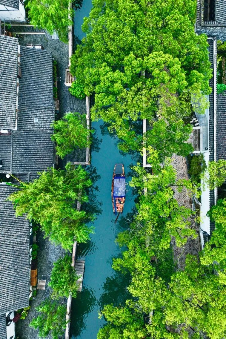 地球一小时活动开启,地球一小时活动2019年的主题