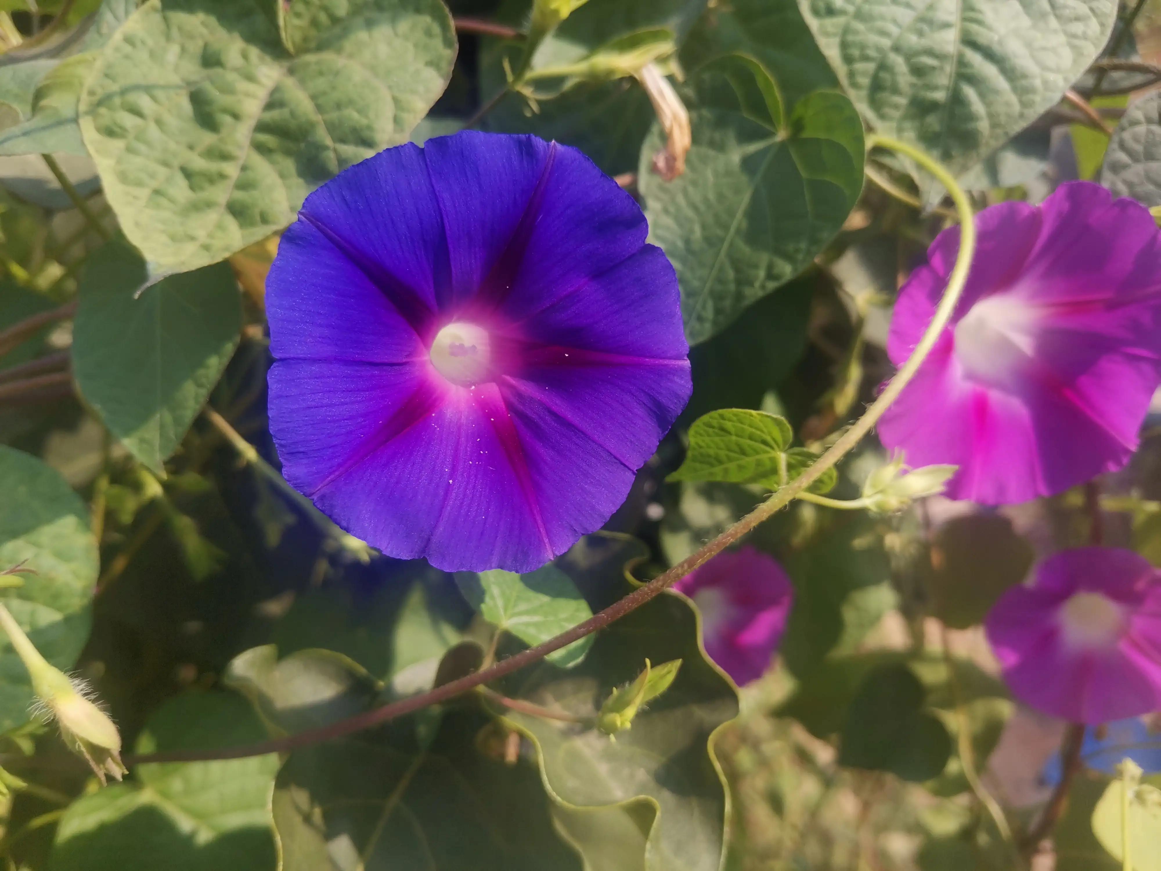 怎么预防手指化脓,大拇指预防甲沟炎的最佳方法