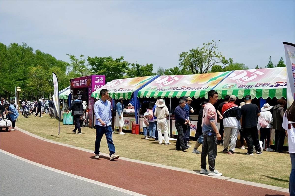 长兴郊野公园网红打卡,长兴岛郊野公园定点打卡