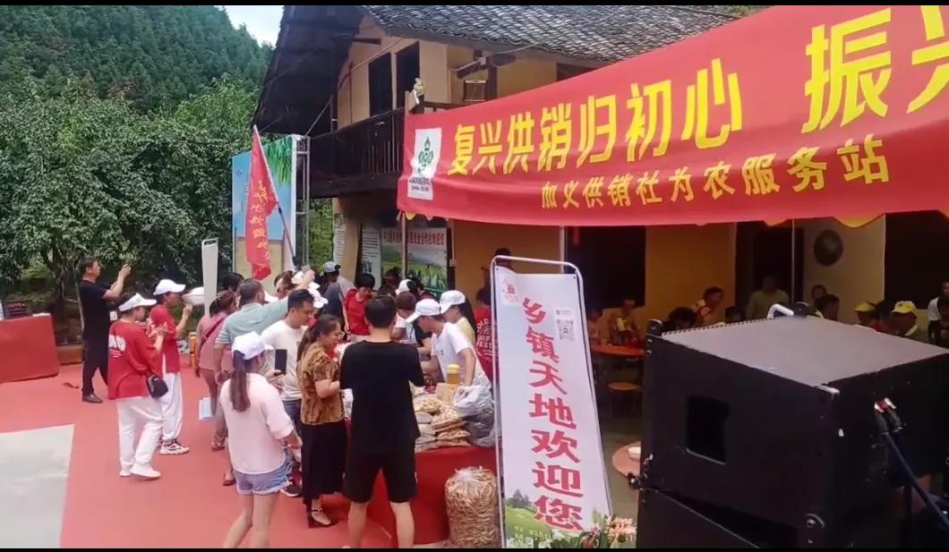 咏生部落成立暨山梨开园活动，乡镇天地助力合作共赢