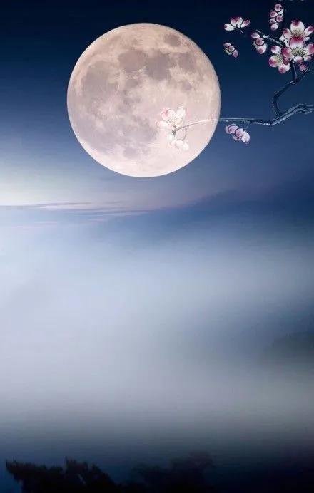 水边桃花月亮唯美图片,月亮竹影唯美图片