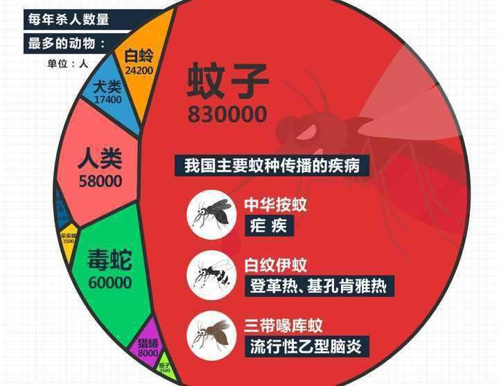 消灭蚊子有什么新方法,有什么方法可以彻底消灭蚊子